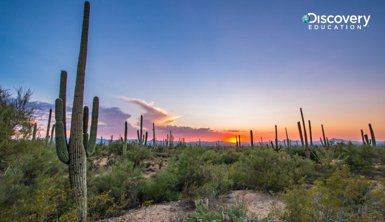 DE PR Arizona 2024 01