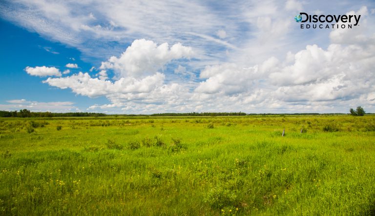 DE PR North Dakota 2024 01